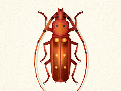 Longhorn Beetle