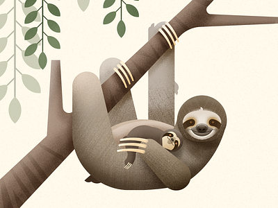 Three Toed Sloth animal baby animals biodiversity cute animal illustration mammal sloth threetoedsloth vector wild animal