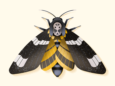 Death's head hawkmoth bug halloween hawkmoth illustration insect lepidoptera moth skull vector