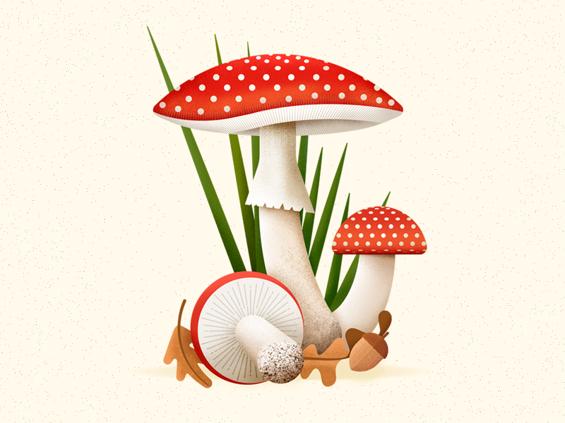 Amanita design проекты