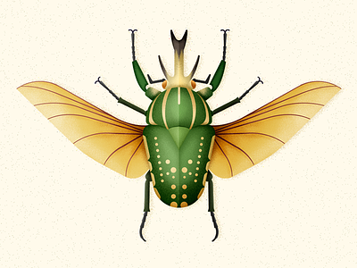 Giant African Fruit Beetle beetle biodiversity bug coleoptera illustration insect vector
