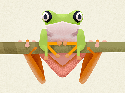 Lemur Leaf Frog amphibian animal biodiversity design frog lemur frog vector