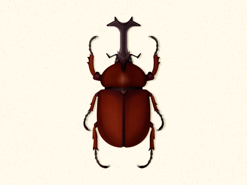Premium Vector  Beetle rhinoceros drawing in style engraving sketch  vector rhino beetle vector sketch illustration