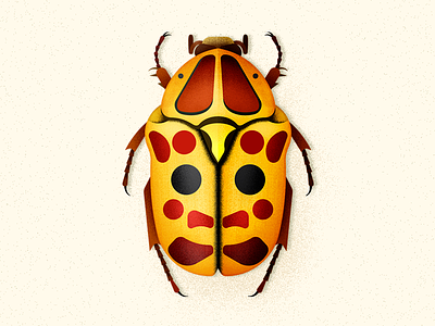 Flower Beetle beetle biodiversity bug coleoptera illustration insect vector