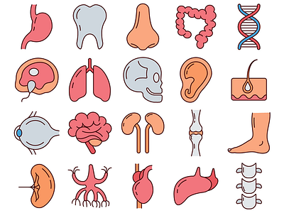 Human Anatomy Vector Freebie Icon Set anatomy free freebie graphics icons typography vector