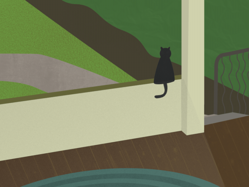 Porch Cat animation cat gif illustration porch scene shot