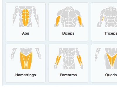 Body parts body illustration part