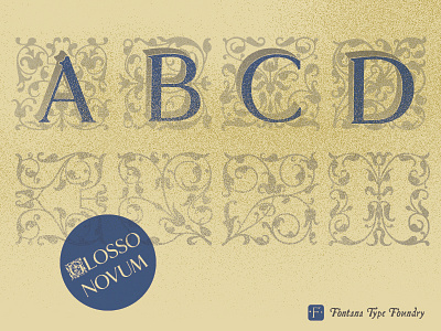 Glosso Novum type type design typeface typography