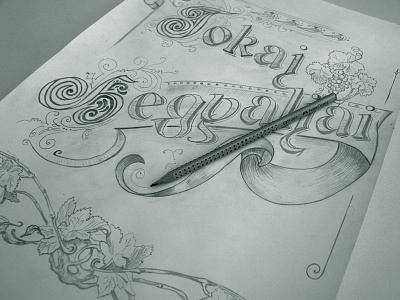 wine label sketch calligraphy illustration pencil sketch typeface typography wine label