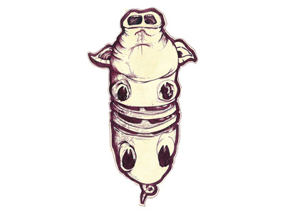 Piggy Sketch character design illustration pencil sketch