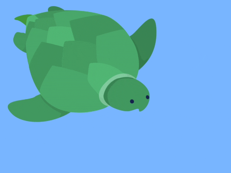 Sea Turtle animal animation motion turtle