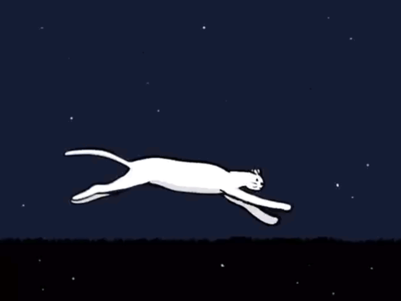 Night Run 2danimation animation cat character design hand drawn illustration illustration art illustrator ipad motion motion design motion graphics rough animator running