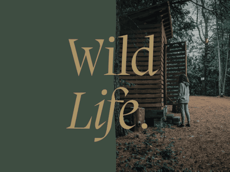 Wild Life Editorial Animation 2021 trend animation cabin forest liquid motion tree typography wild wilderness woods
