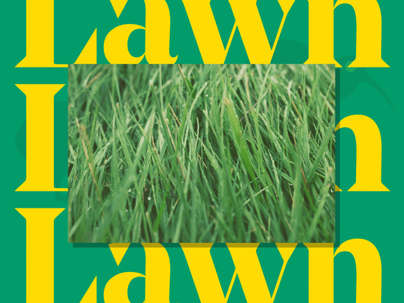 Lawn Bowls Promo Animation advertising brutalism brutalist gif gif animation grass green green and gold green and yellow hipster indie lawn photoshop retro sport typography vintage yellow