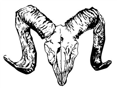 Ram's Skull adobe illustrator design graphic graphic design illustration ram rams skull skull