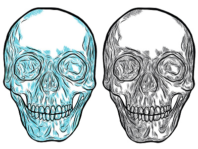 Skull Sketch [Drawn on Samsung Galaxy Note 9] adobe illustrator adobe illustrator cc design digital digital art digital illustration digitalart drawing graphic graphic design graphic design illustration illustrator sketch skull skull art skulls