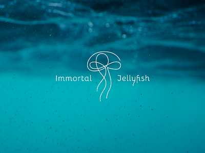 Logo Design - Immortal Jellyfish design figma figmaafrica illustration logo logo design logodesign typography
