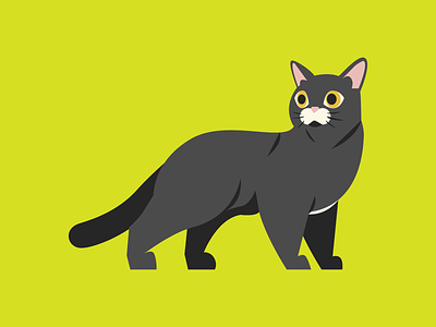 black cat animal black cat cats digital editorial icon illustration minimal vector