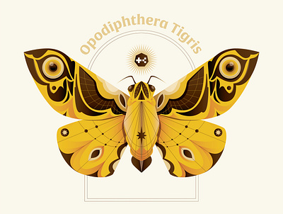 Opodiphthera Tigris animal bug butterfly digital icon illustration moth nft vector yellow