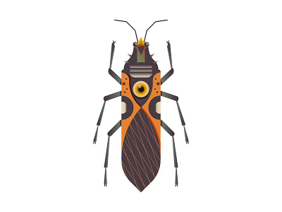 Oncopeltus digitalus animal bug crypto design digital icon illustration insect nft vector
