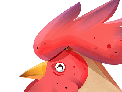 Rooster affinity chicken china designer hen illustrator red rooster texture vector wip