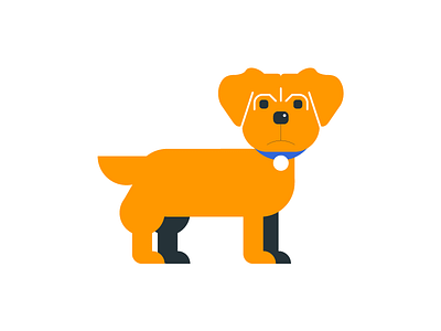 Yorkie animal brown calendar dog flat icon illustration infographic terrier yorkie