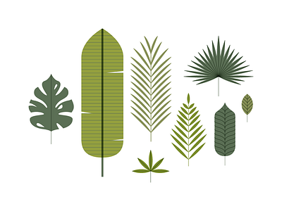 Specimen | Leaf 01 green happy icon illustration indonesia invitation leaf line simple tropic