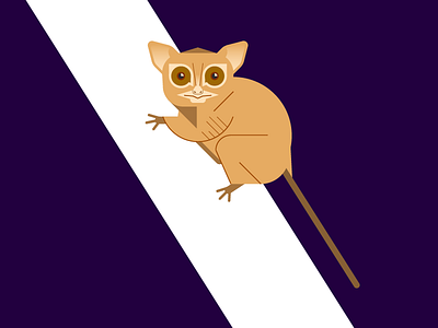 Tarsius animal brown icon illustration indonesia monkey primate purple science tarsius