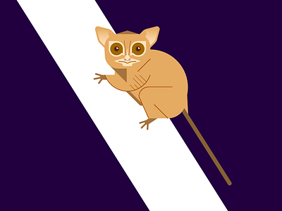 Tarsius