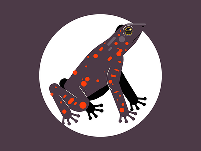 Kodok animal brown frog icon illustration indonesia red science species toad