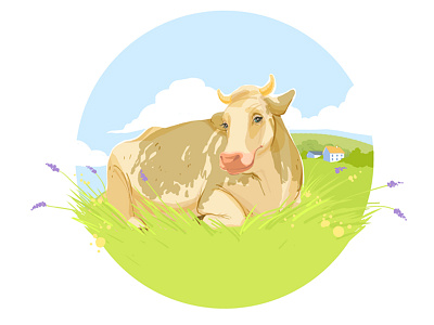 Cow cow milk