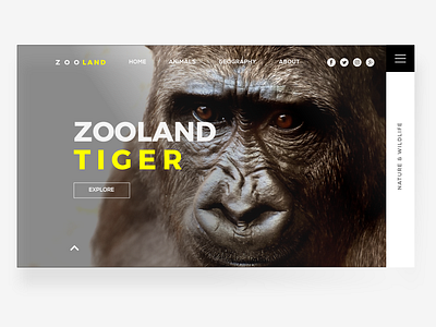 ZOOLAND – monkey