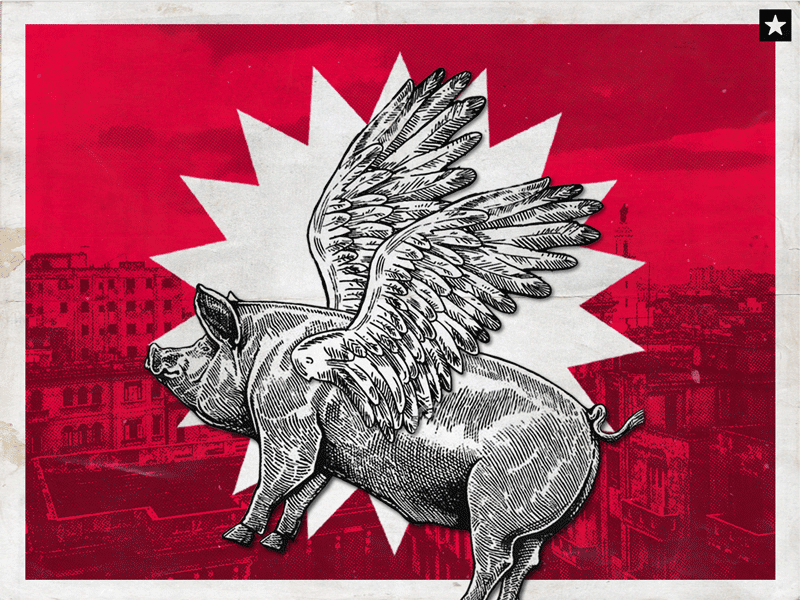 The State Department and the theory of flying pigs... 2018 acousticattack cuba design dominiocuba engraver flyingpig illustration inspiration pig politics red sound vintage