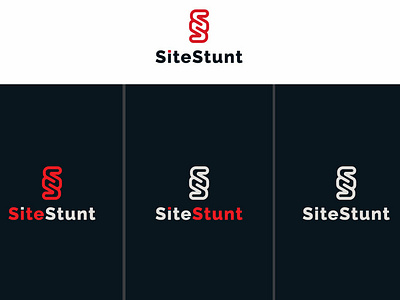 SiteStunt!!! custom design dribbble idea letter logo mark modern unique