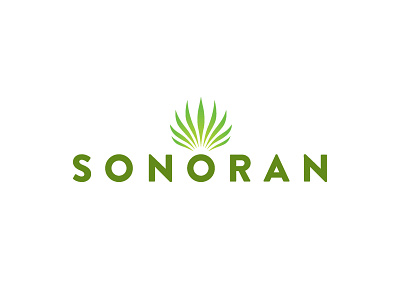 Sonoran Logo Concept branding desert design illustration illustrator logo sonoran vector