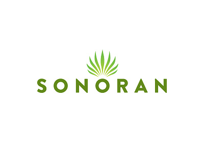 Sonoran Logo Concept