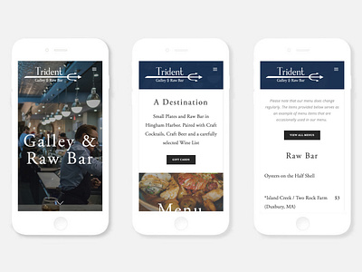 Trident Galley & Raw Bar branding cape cod color design graphic design logo marketing mobile responsive typography ui ux website