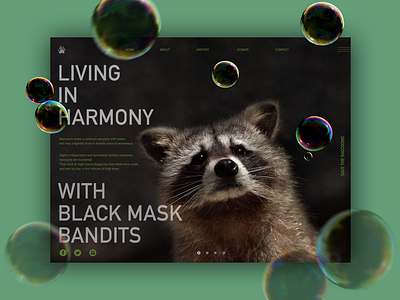 Raccoon Concept design photoshop typography ui visual design web website