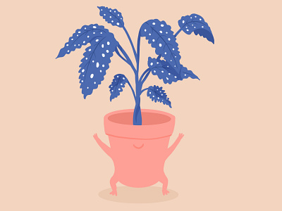 Little pot color graphic design happy illustration plant plant illustration pot procreate