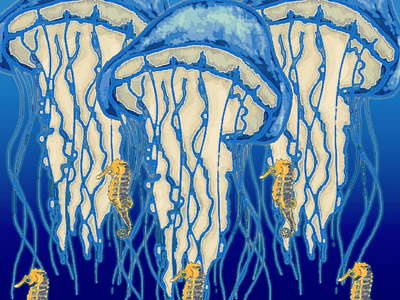 Jelly fish and seahorses