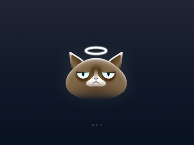 RIP Grumpy Cat affinity designer cat character grumpy cat illustration vector