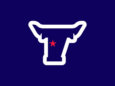 Houston Texans