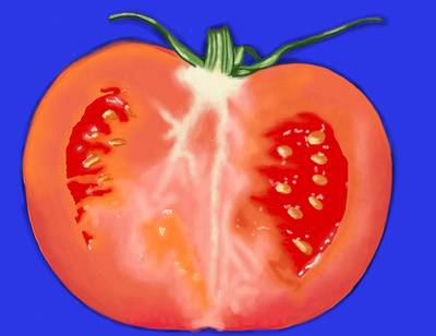 Tomate adobe sketch digital art digital painting drawing food art illustration illustrator painting pop art tomate tomato visual art