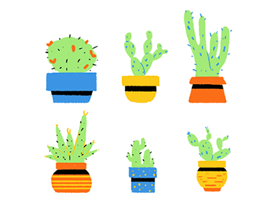 Cacti cacti cactus illustration