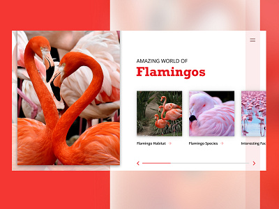 Flamingos design ui web website