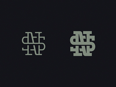 NS Monogram bold custom glyph icon lettering letters ligature light logo sn sports logo typography weave woven