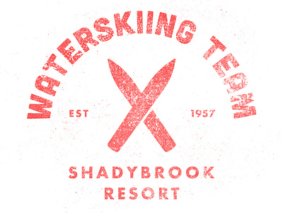 Shadybrook Resort badge futura graphic icon ski text texture type typography waterski weathered