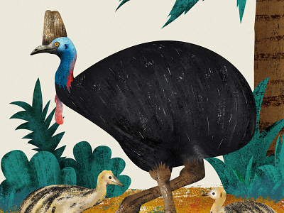 A cassowary illustration from "All about the egg" book