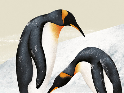 King Penguin from "All about the Egg" book animal illustration antarctica book illustration children book illustration encyclopedia illustration illustrator natural science penguin illustration