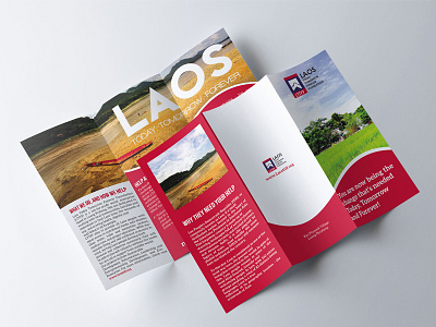 Tri-fold Brochure